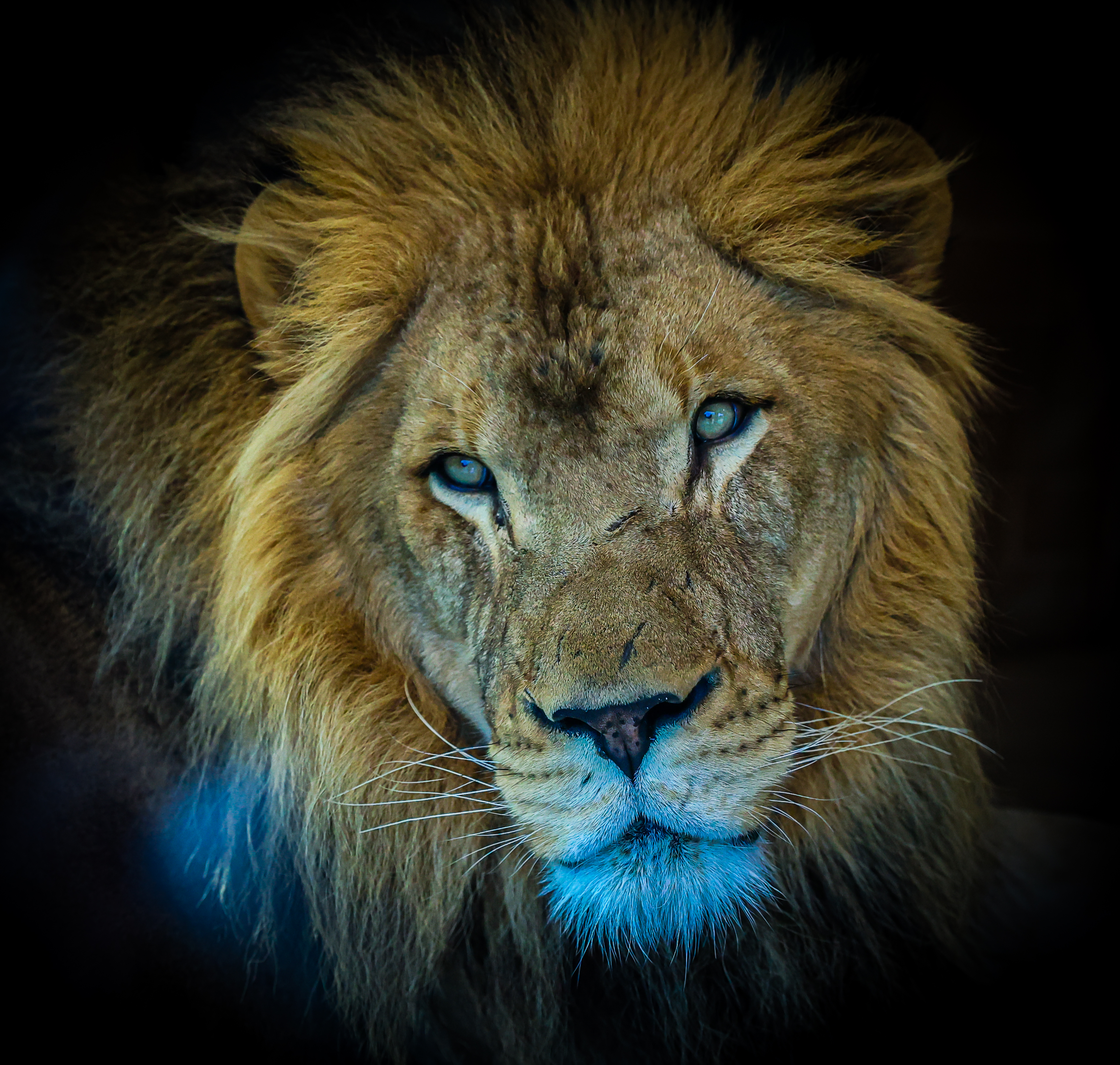 Rolling Hills Zoo
