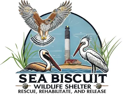Sea Biscuit Wildlife Shelter