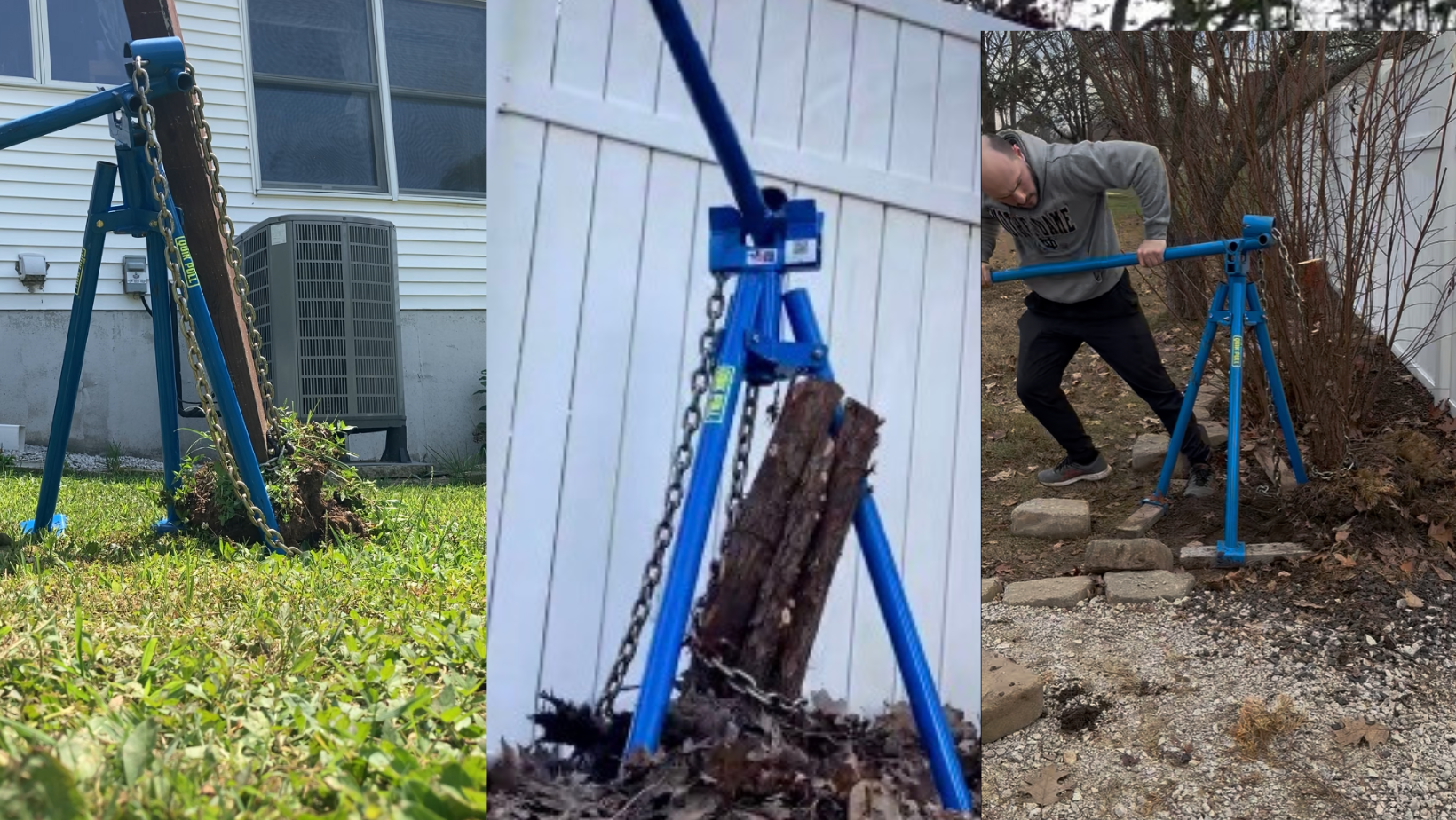 Shrub and Post Removal
