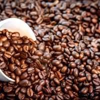 Java Dawg Coffee | Sarasota FL