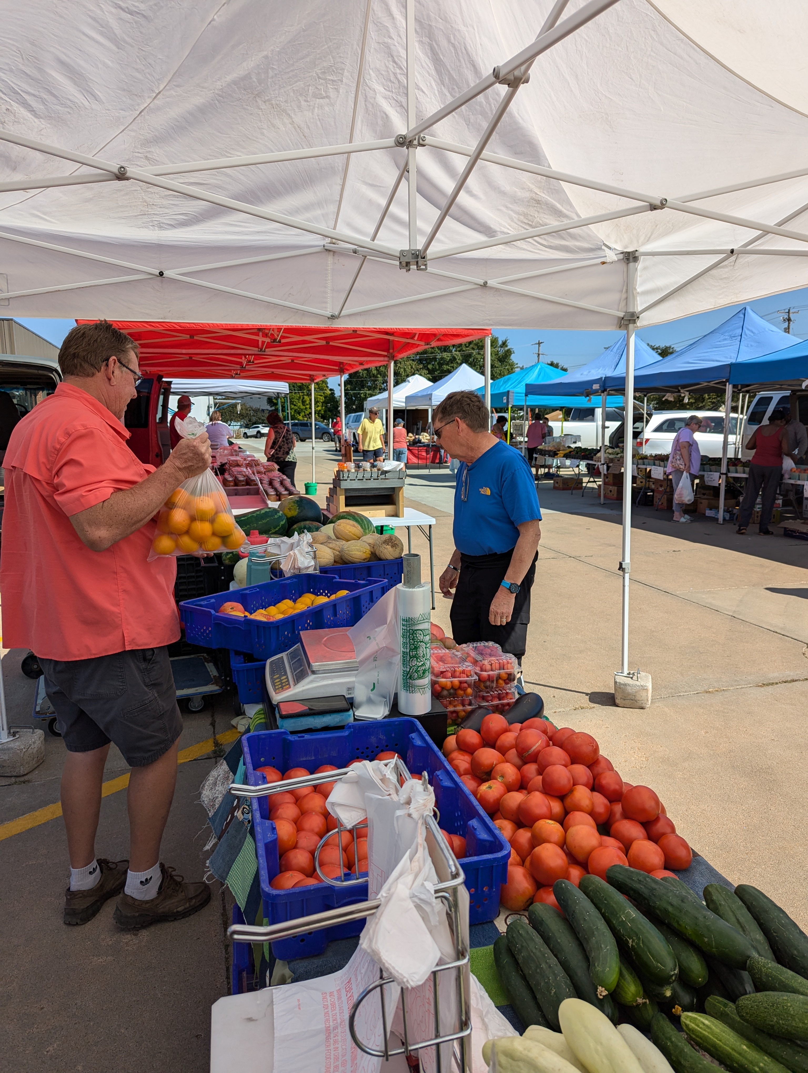 Harvest Farmers Market
