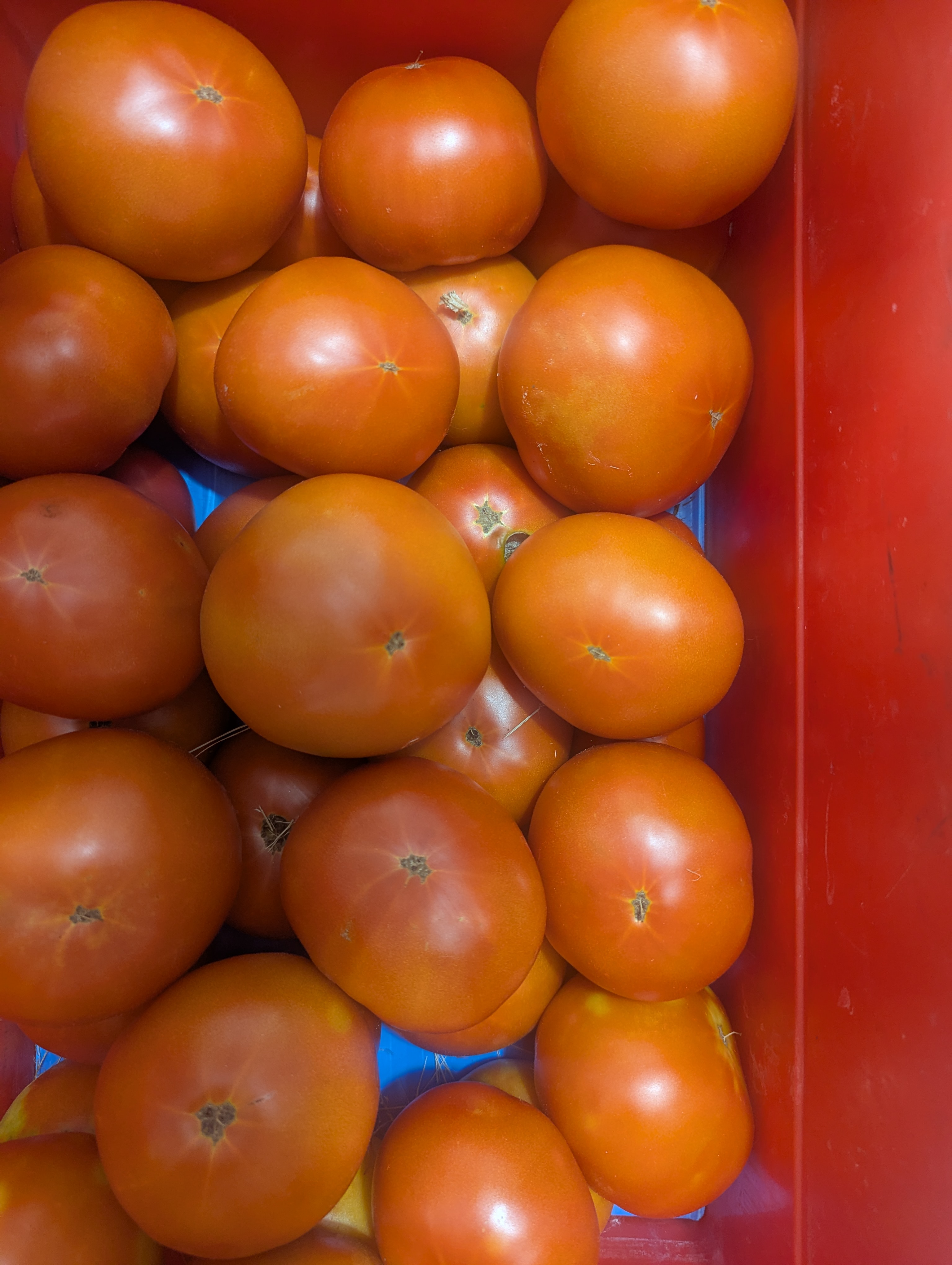 Harvest Farmers Market 