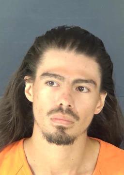 Booking photo for DE ARMEY, ROBERT