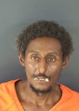 Booking photo for HOLMAN, MARK