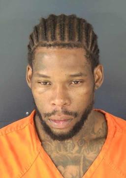 Booking photo for XAVIER, BED
