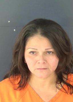 Booking photo for CANIZALES, ROSA