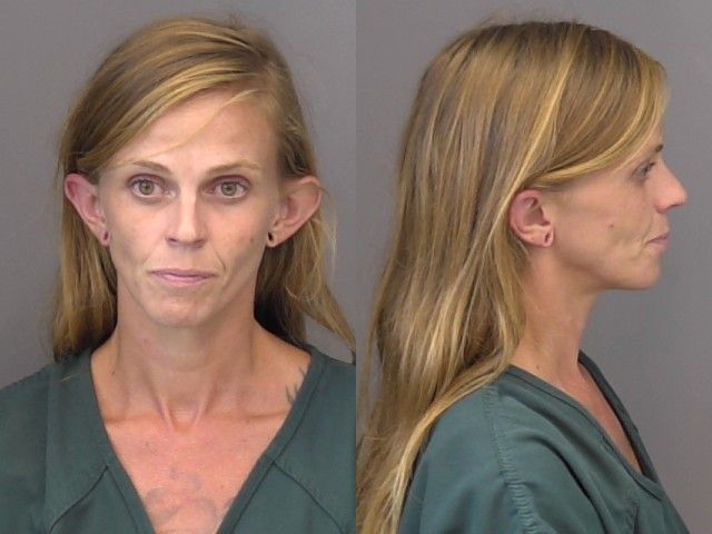Ellison, Megan Lynn