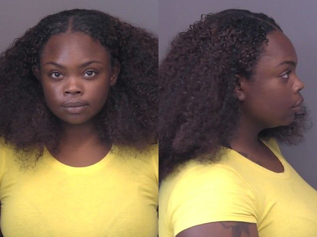 Woman Charged in Deaths of Two Dogs Makes First Court Appearance August 7
