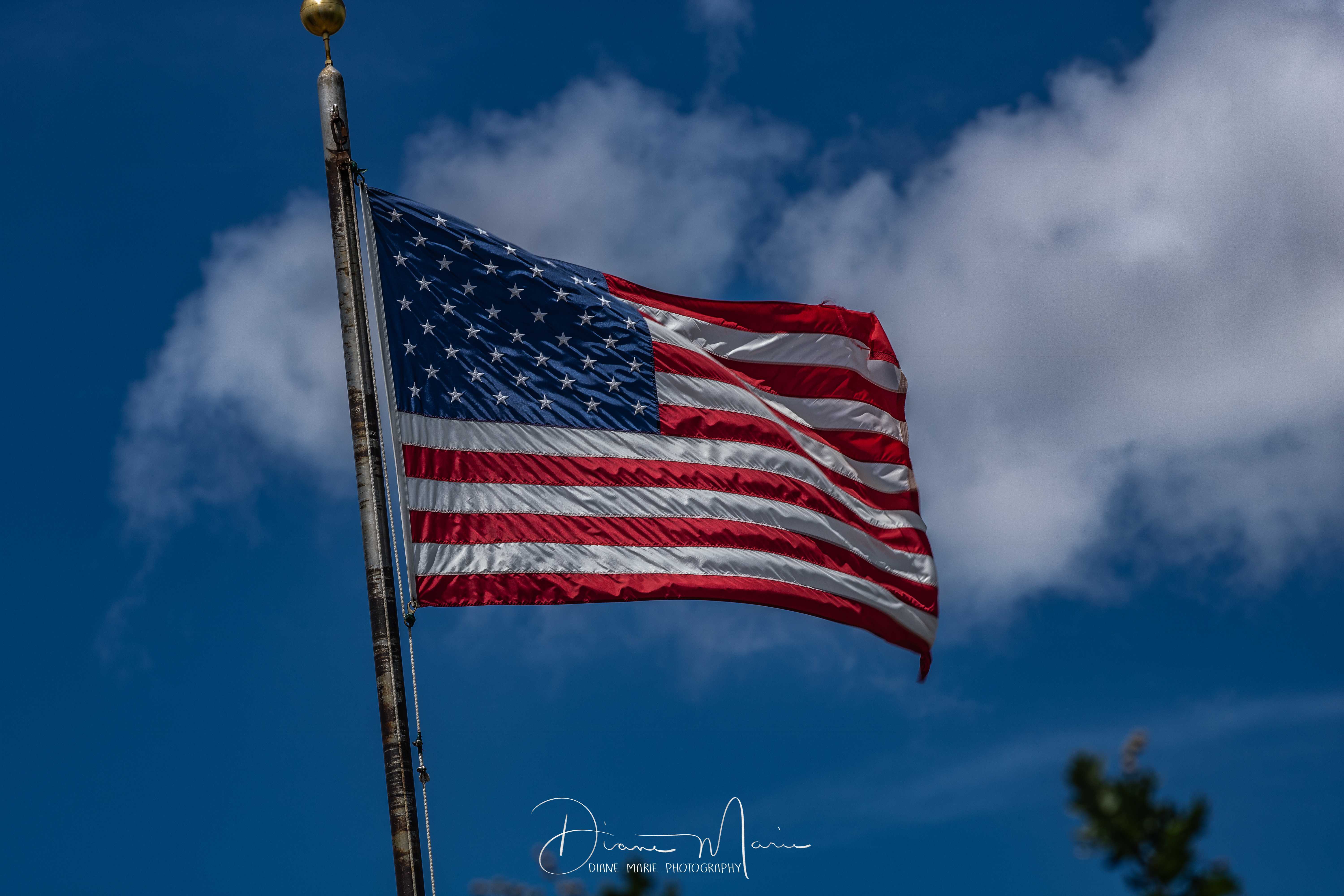 Happy 250th Fourth of July from Salina311