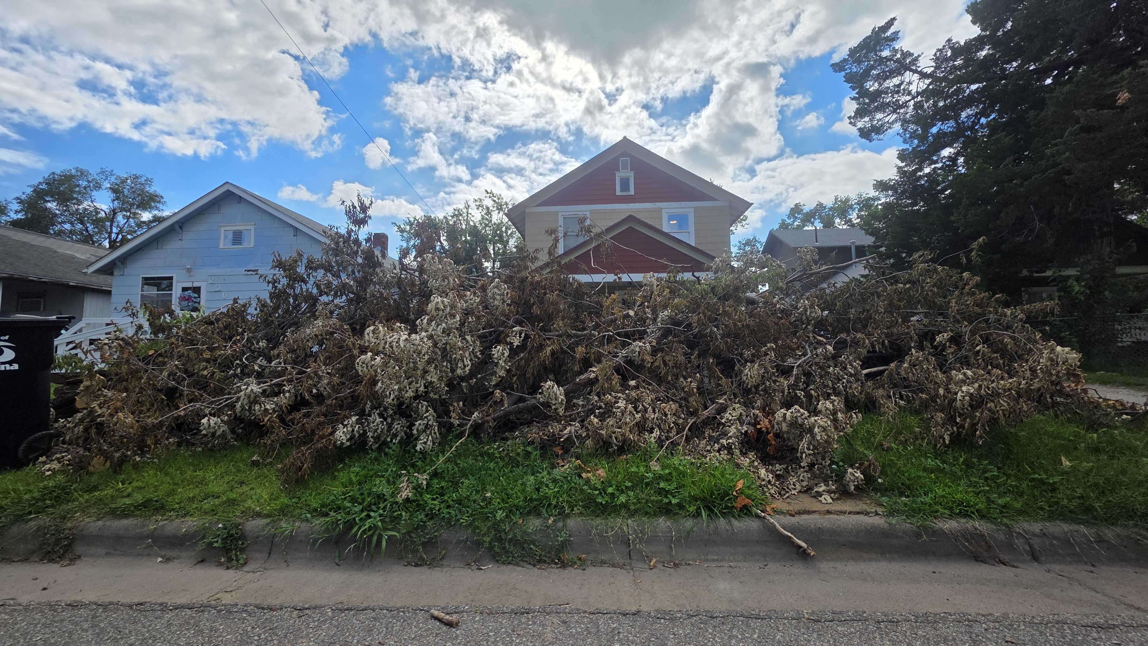 Citywide Storm Limb Pickup Completed in Salina