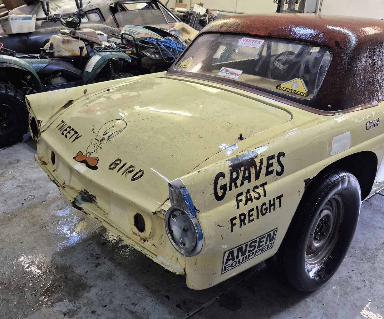 Mike Blanton Restores Historic Tweety Bird Thunderbird