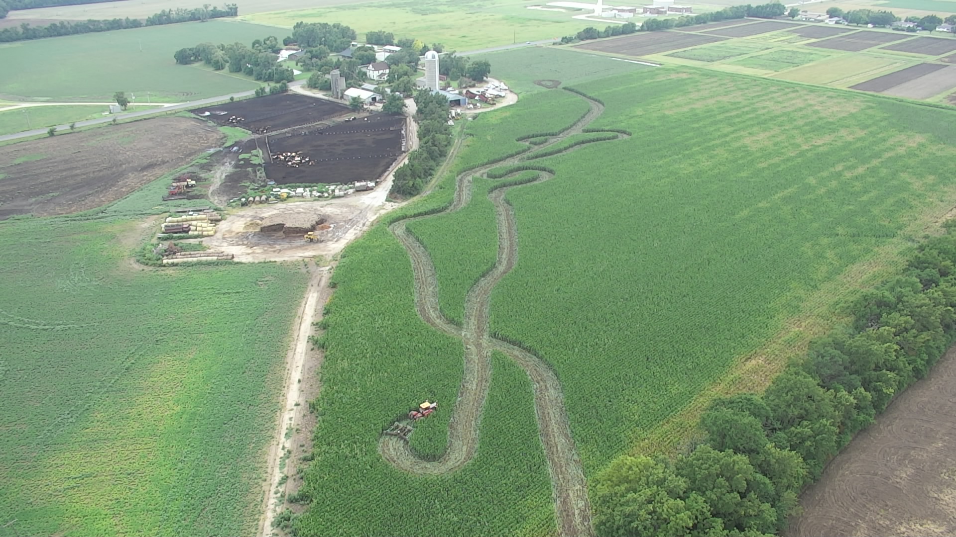 Two Juvenile Runaways Linked to Multiple Thefts, Burglaries, and Crop Damage Incidents