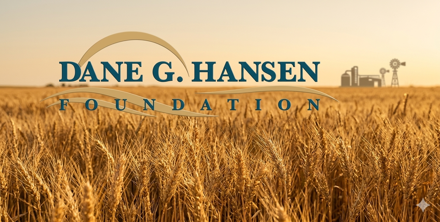Madison Berndt, Charlotte Knopf and Bryson Lippold Lead Local Hansen Scholarship Honorees