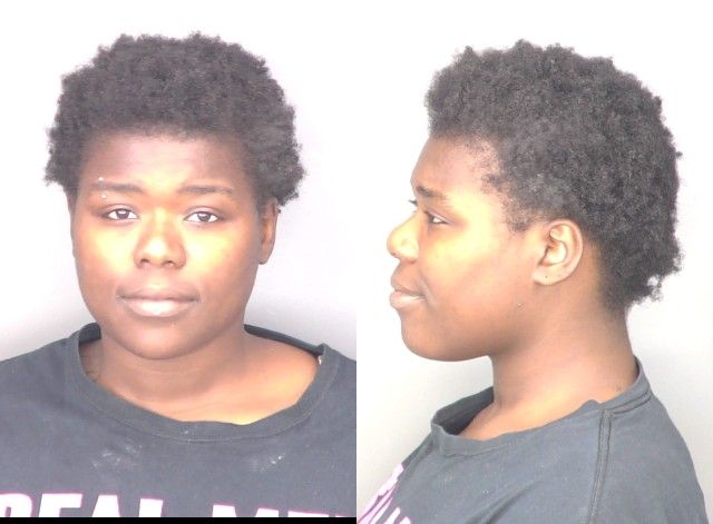 Woman Arrested After Domestic Disturbance Results in Broken Foot