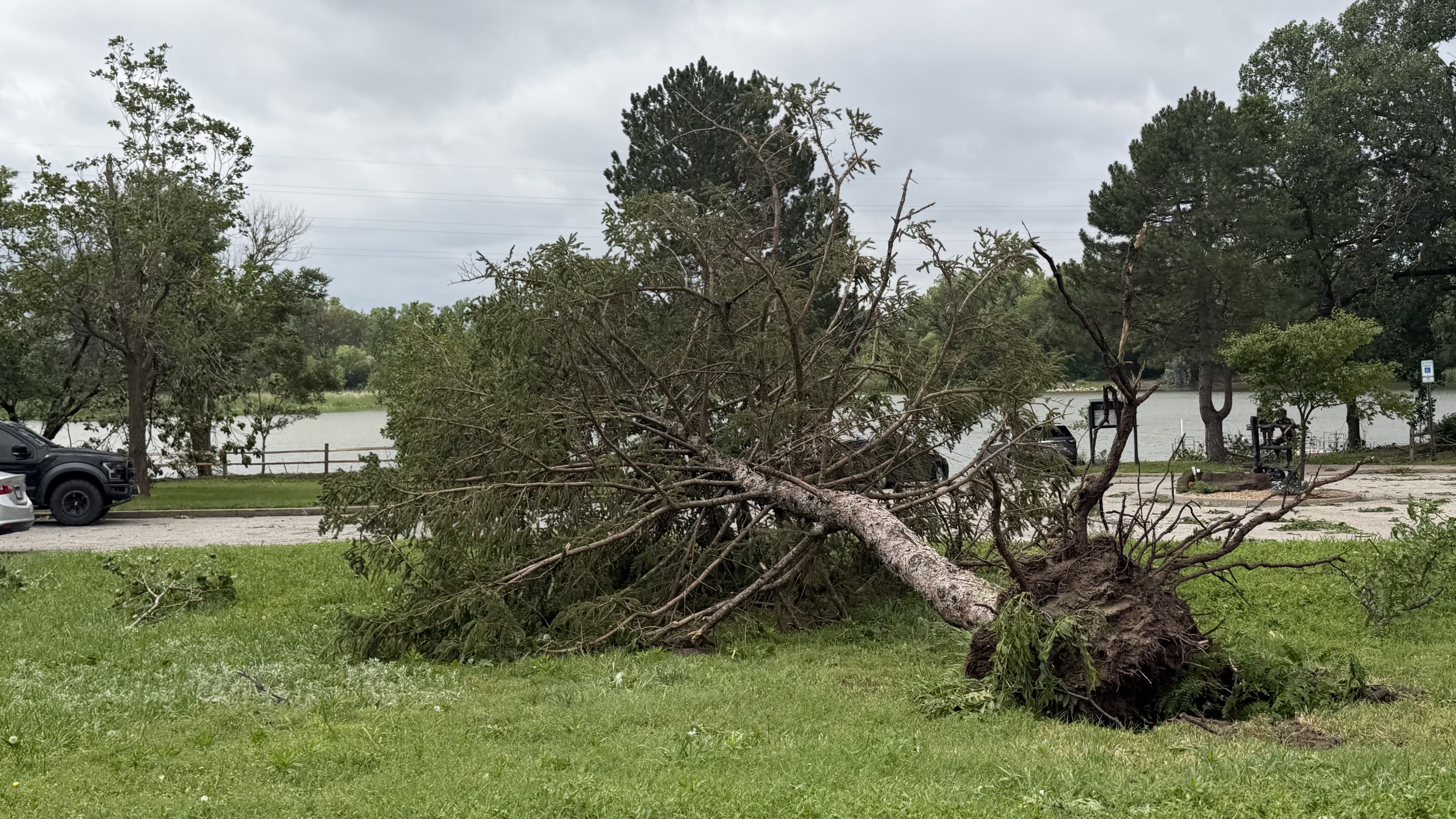 Salina Commission Approves Temporary $200,000 Tree Cleanup Authority After June 8 Storm