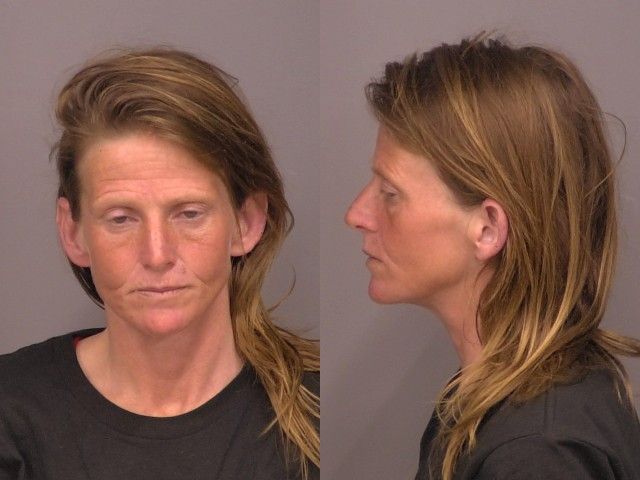 Woman Charged After Attempting to Take Child From Legal Guardians