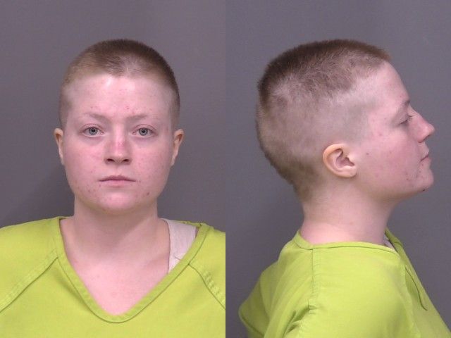 Domestic Disturbance Leads to Arrest on South Ohio
