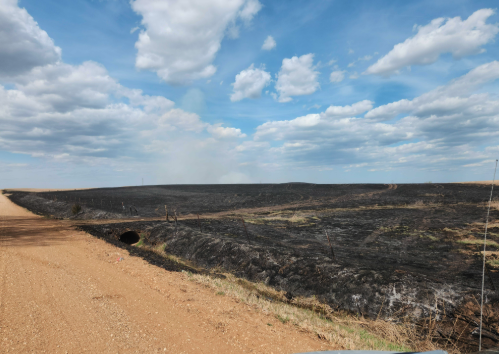 Smoke on the Prairie: Why Spring Burning Is Part of Kansas Agriculture