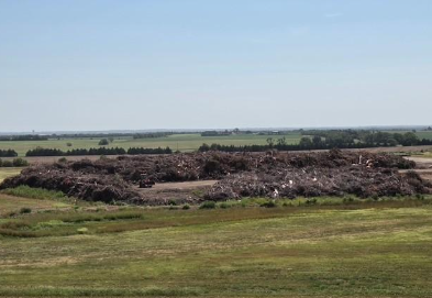 Salina Landfill To Resume Normal Charges On Commercial Haulers For Limb Debris August 3rd