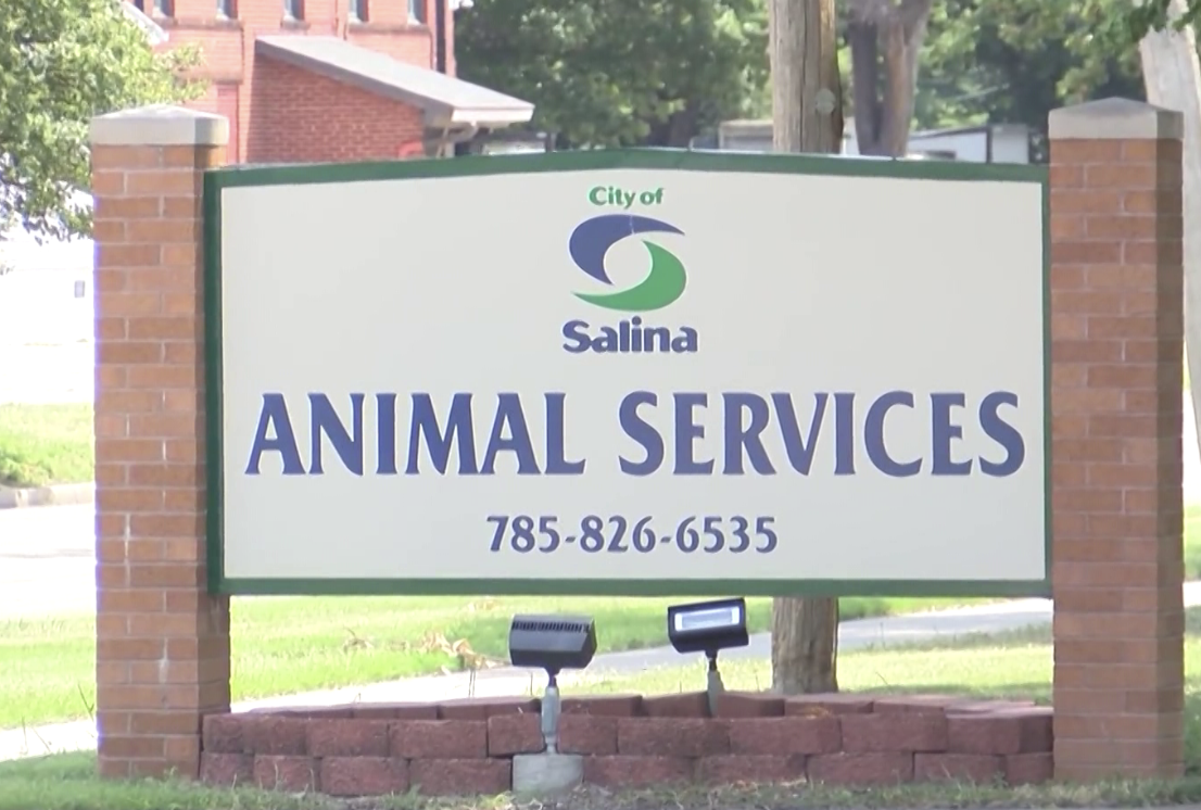 KDA Withholds July Salina Animal Shelter Inspection Report, Citing Possible Administrative or Civil Proceedings