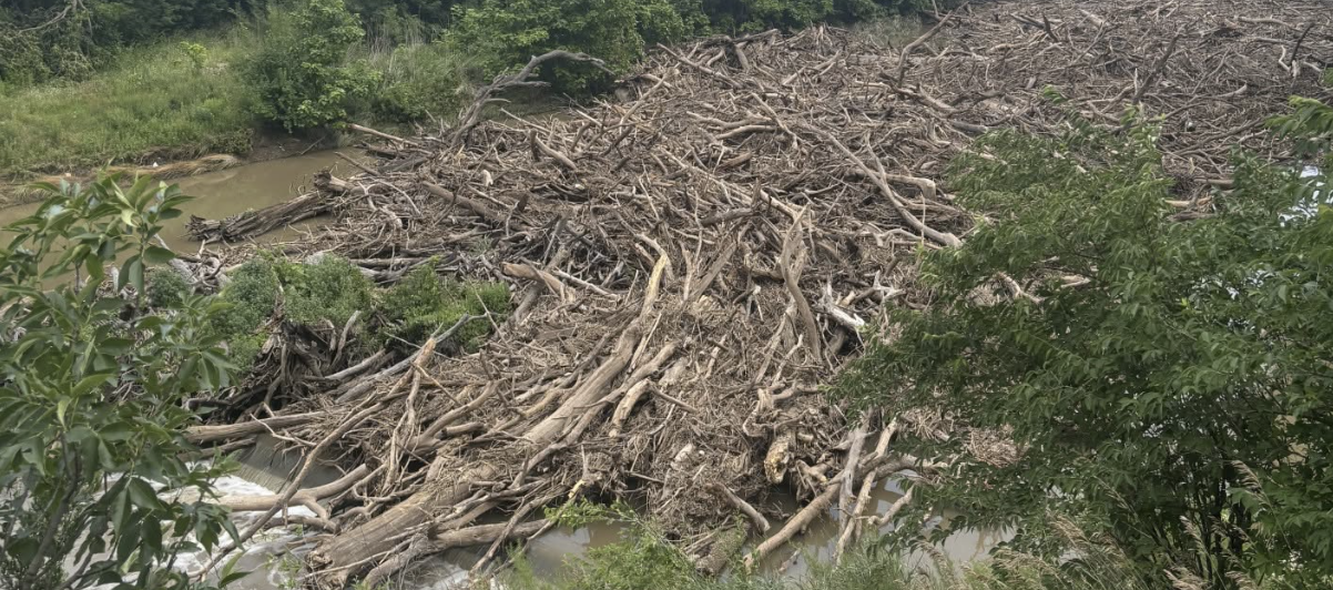 Salina Estimates $1.5 Million in Bill Burke Riverbank Repairs Following Log Jam