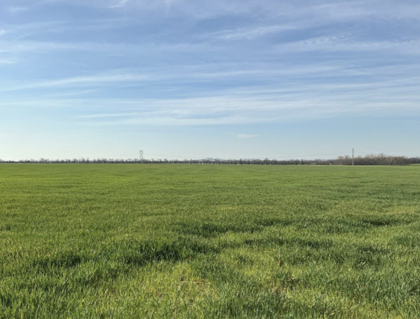 Salina May Pay $725,000 for 160 Acres Beside Municipal Landfill