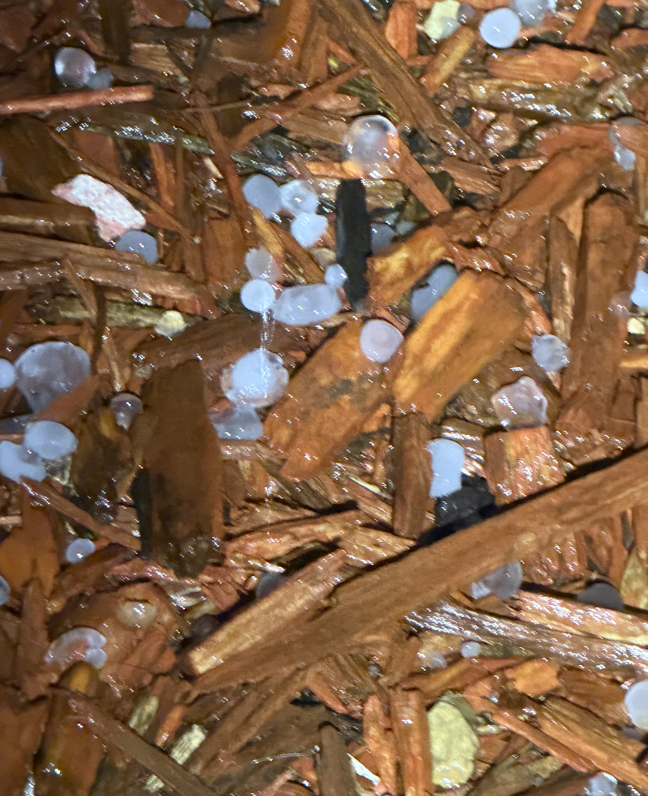 Marble-Size Hail Moving Through Saline County Saturday Night