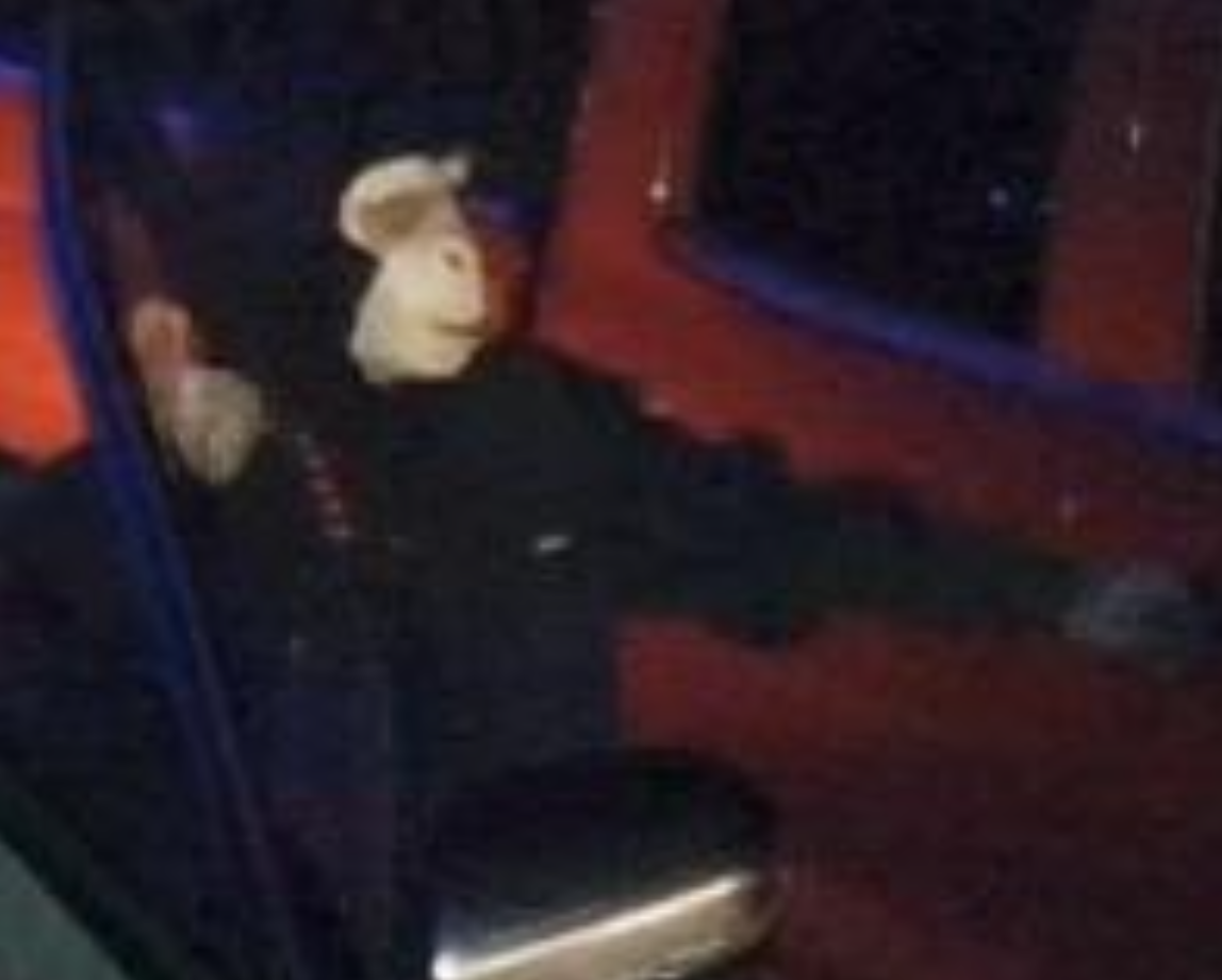 Salina police seek person in monkey mask after vehicles entered in southeast Salina