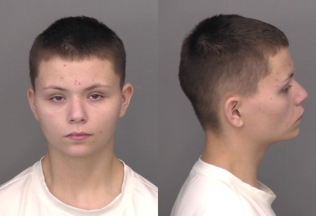 One Arrested After Vehicle Theft And High Speed Chase