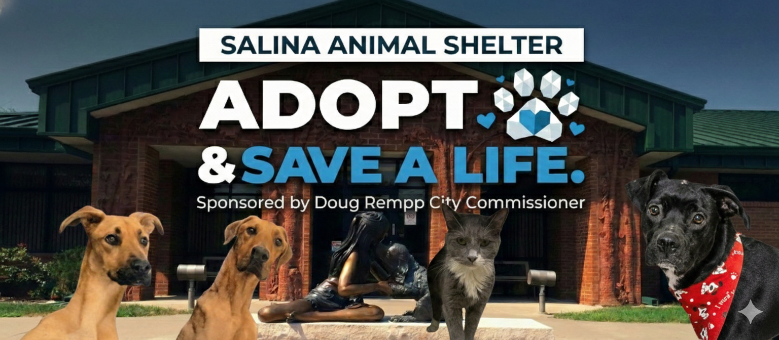 Salina's Adoptable Pets - Saturday