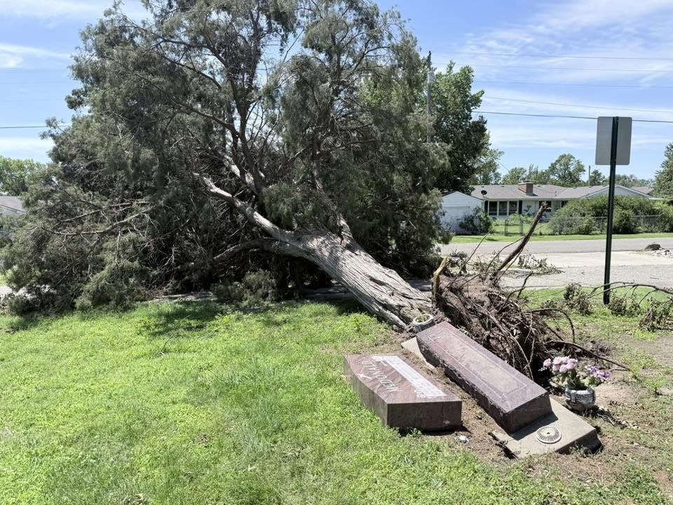 Photo by Sabrina Lynette, provided to Salina311