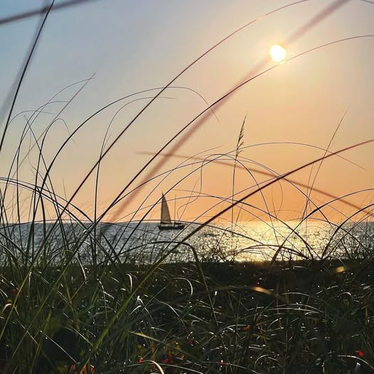 Sunset Times Approaching 8 p.m. at Sarasota County Beaches
