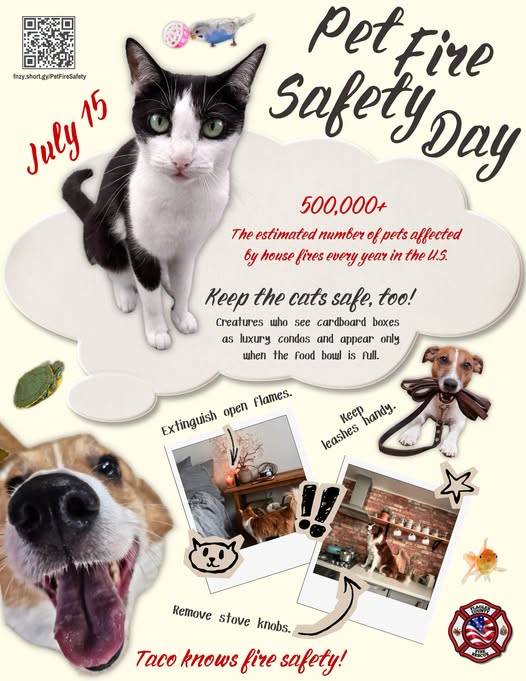 Flagler County Fire Rescue Marks National Pet Fire Safety Day