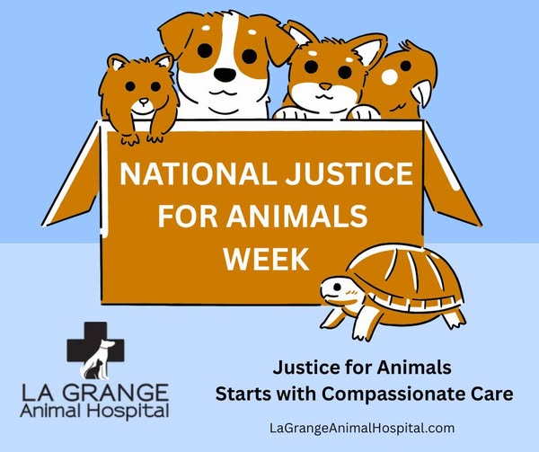 National Justice for Animals Week Recognized in Oldham County - Oldham ...