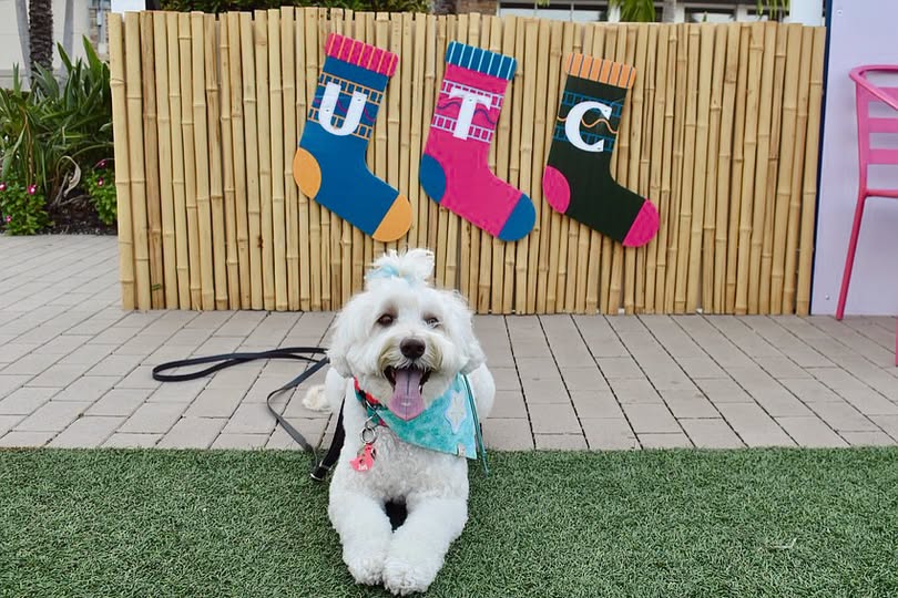 UTC Sarasota Hosts Christmas in July Events Throughout Late July