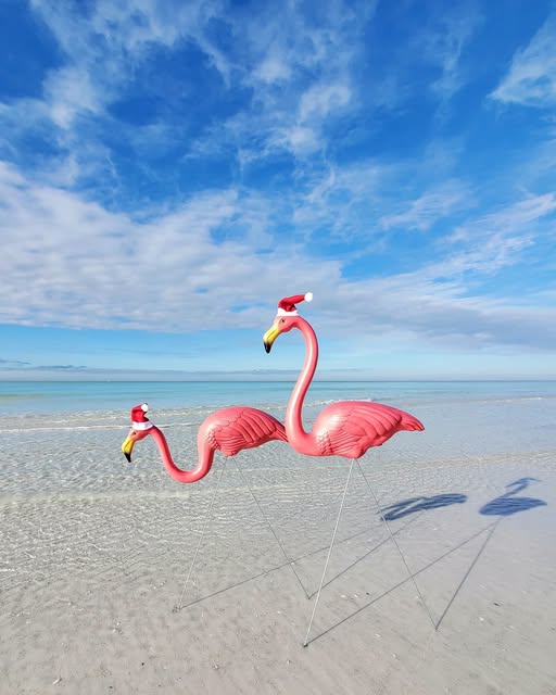 Sarasota-Area Businesses Host Christmas in July Events Throughout Month