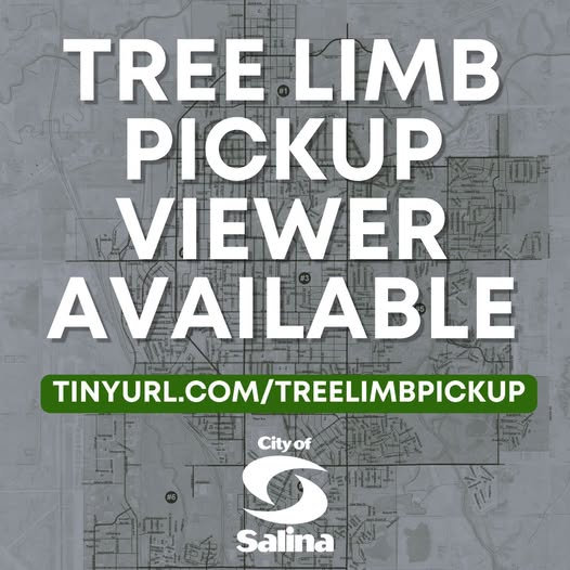 City Launches Online Map to Track Tree Limb Pickup Progress