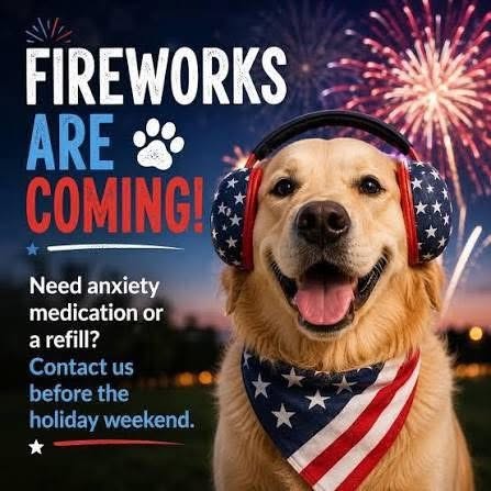 Sarasota Vet Clinic Urges Pet Safety Ahead of July Fourth