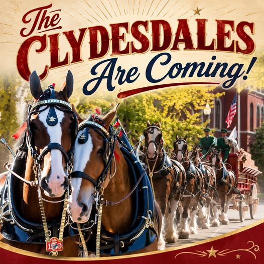 Anheuser-Busch Clydesdales to Visit Festus for First Time in Decades