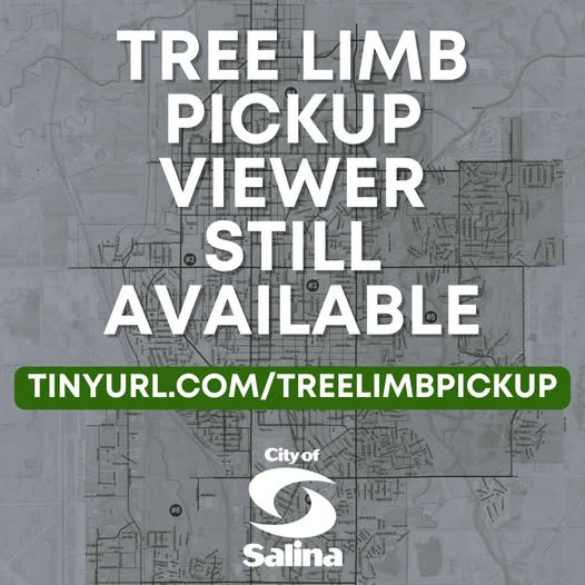 Salina Crews Continue Tree Limb Pickup, Online Tracking Map Available