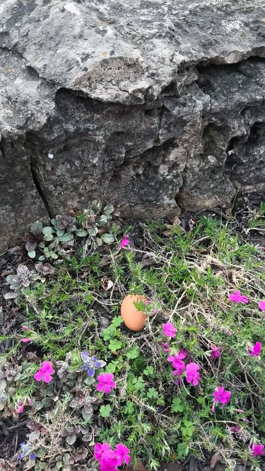 Jefferson County Escape Room to Offer Easter-Themed Experience