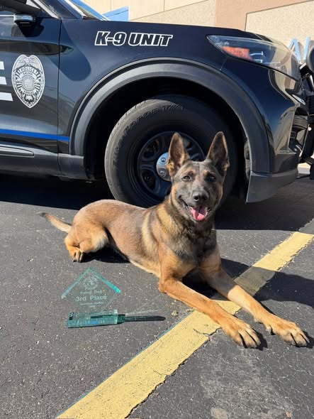 Salina police K-9 teams take second and third at regional certification