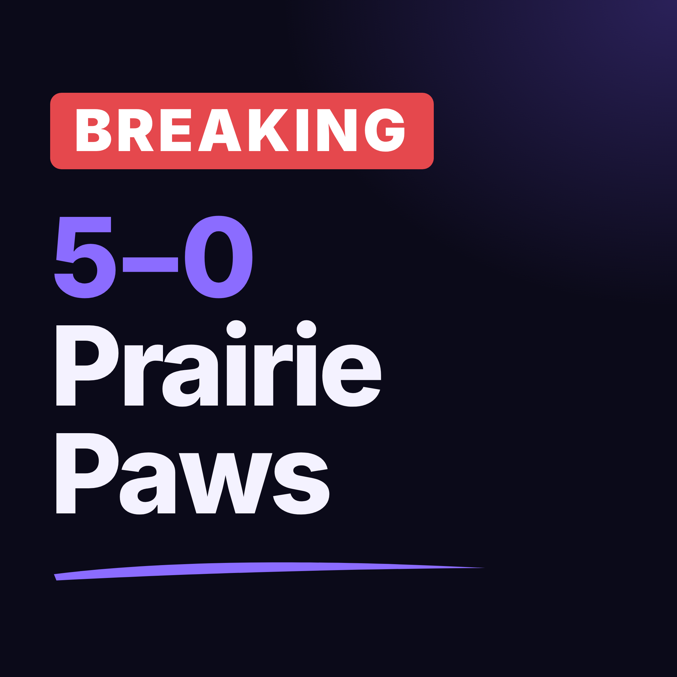 BREAKING: Salina Commission Votes 5-0 to Move Forward With Prairie Paws on Animal Shelter Management
