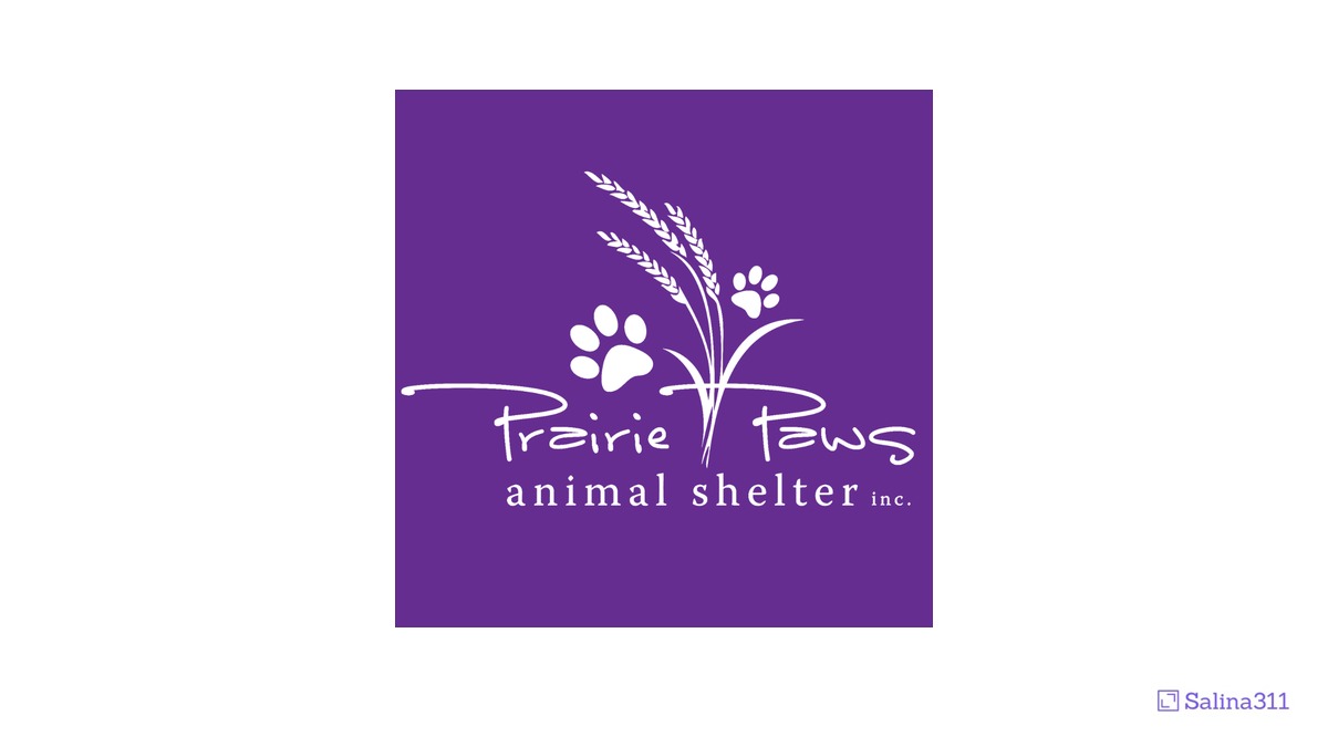 Prairie Paws would run Salina's animal shelter under $462,000-a-year city agreement
