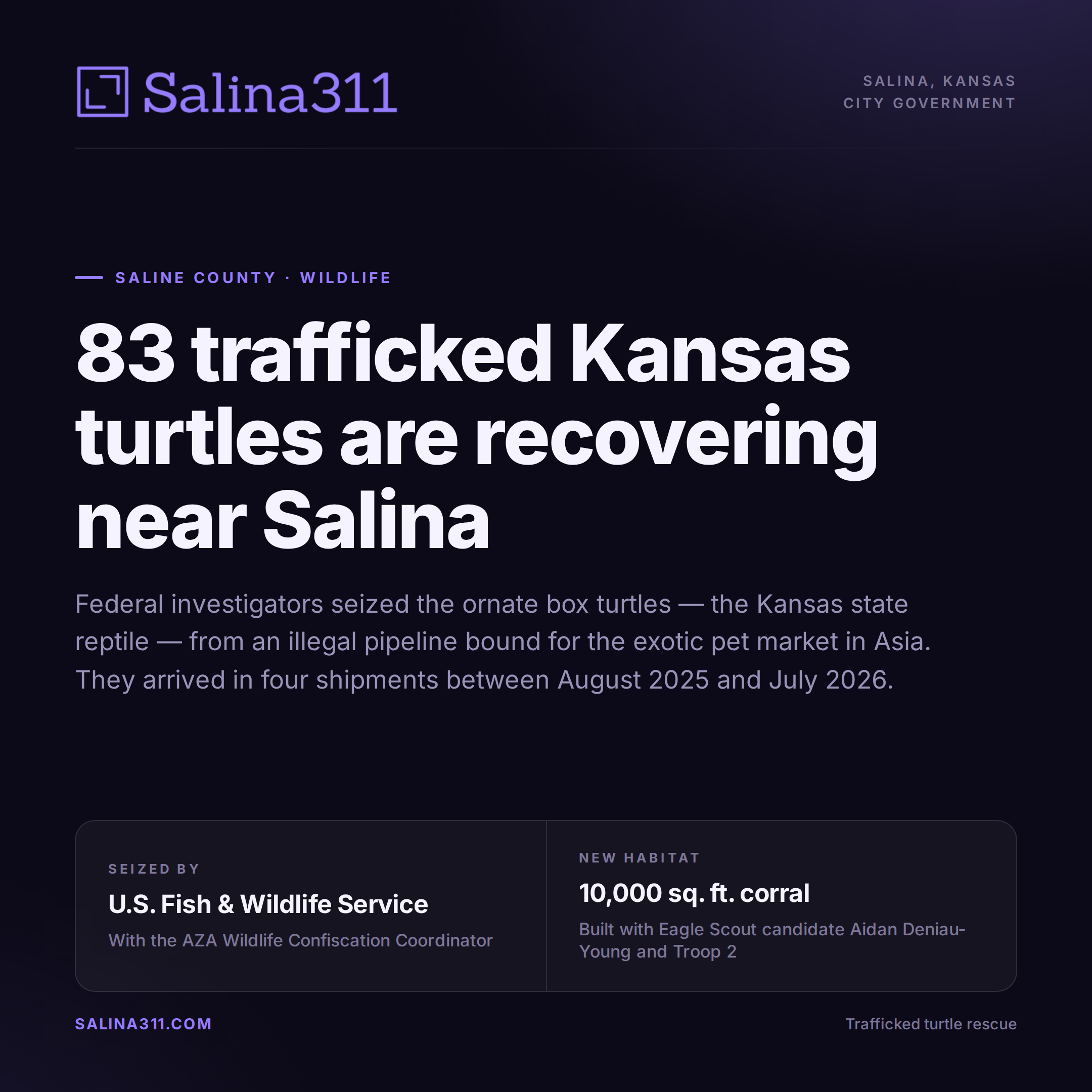 83 Trafficked Kansas Turtles Are Recovering Near Salina
