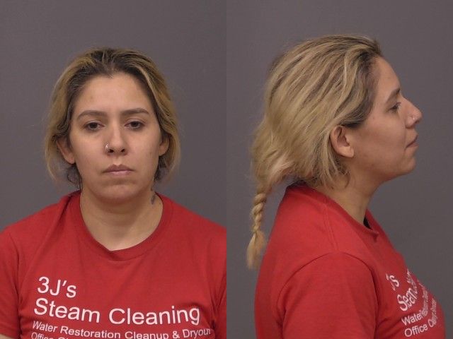 Woman Arrested After Domestic Disturbance on Willow Street
