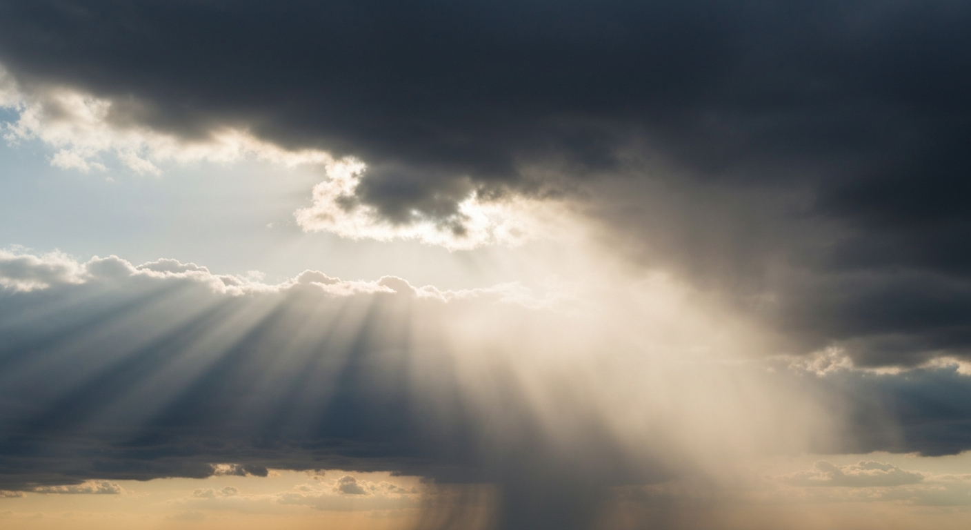Steady Rain Expected in Lee's Summit Today