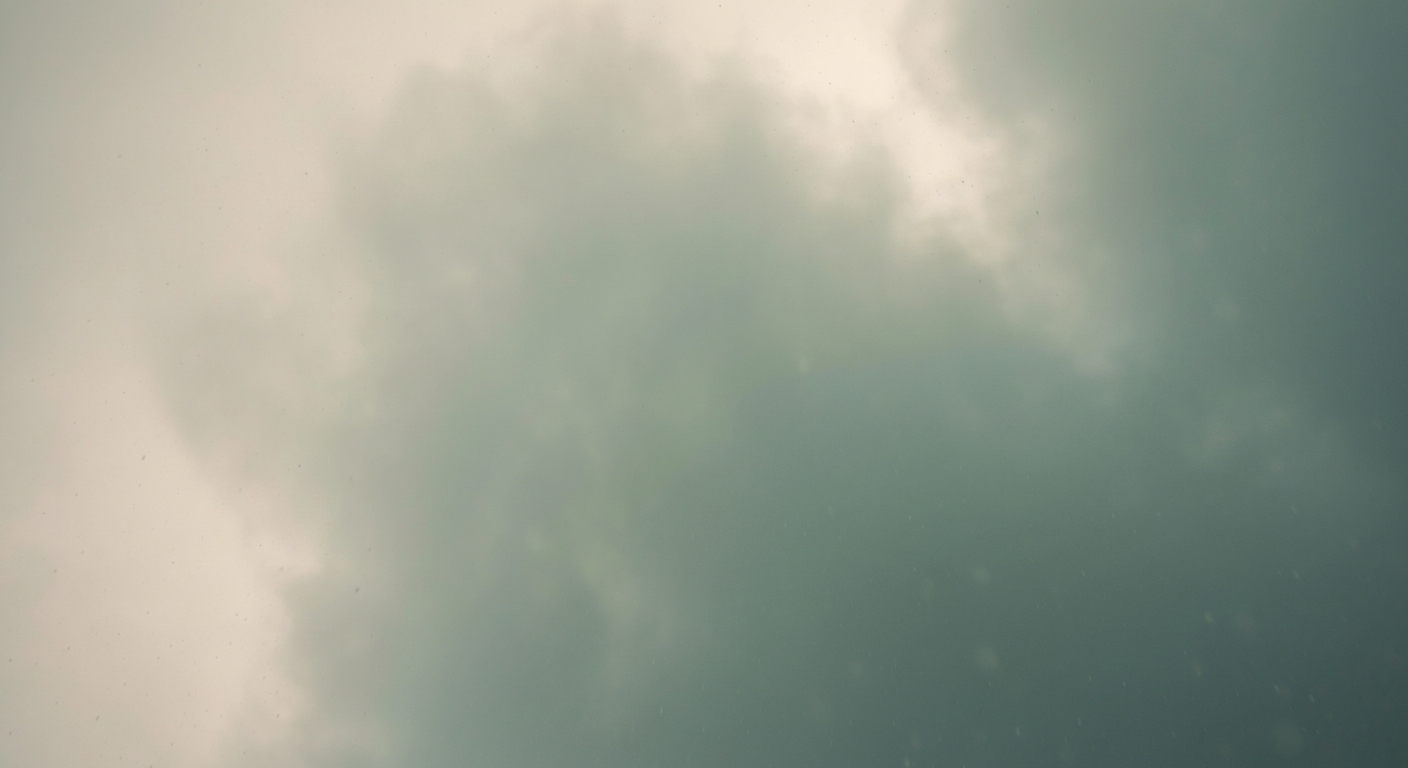 Salina Weather: Light drizzle, High of 46°F