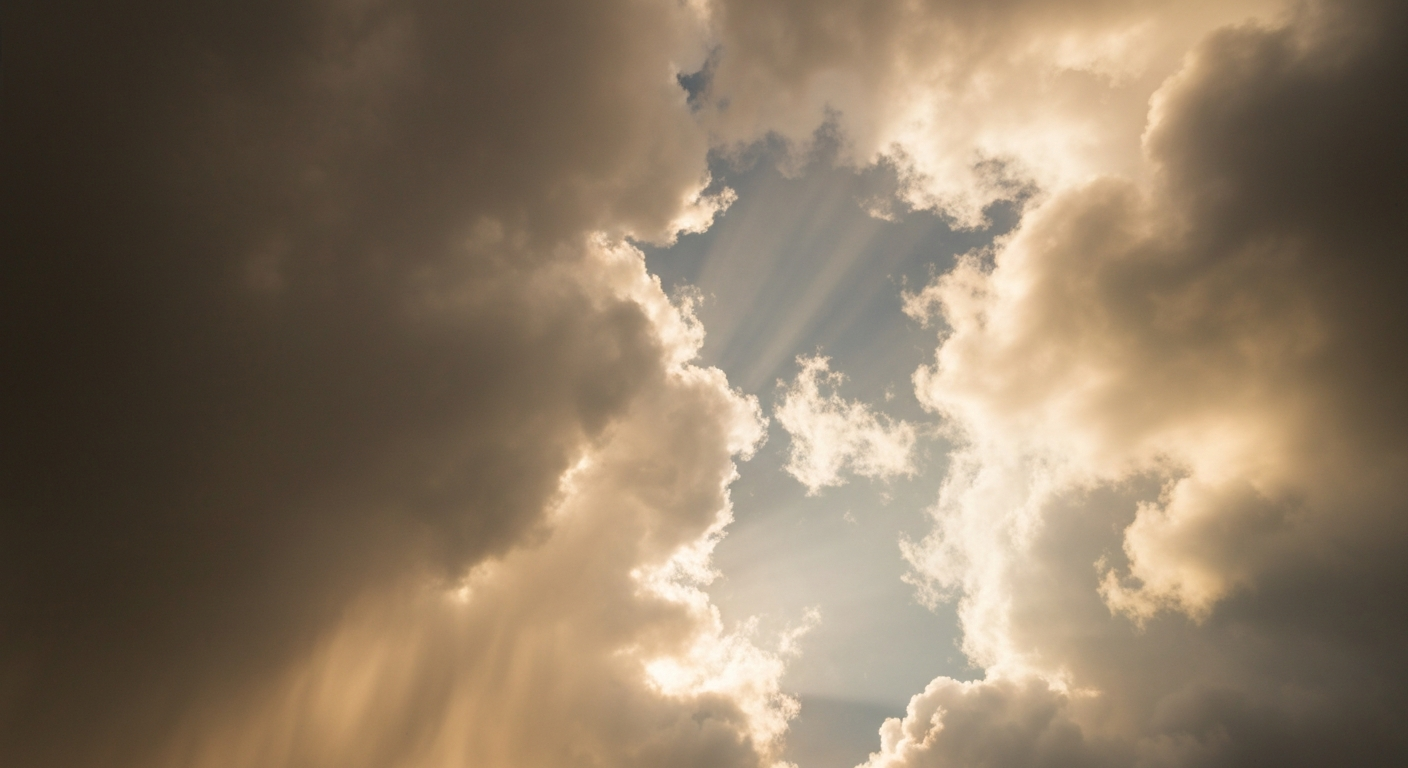 Wilmington Weather: Slight rain showers, High of 78°F