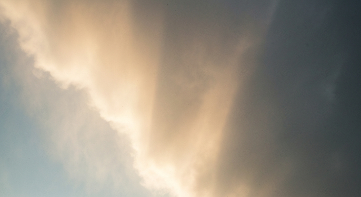 Wilmington Weather: Light drizzle, High of 79°F